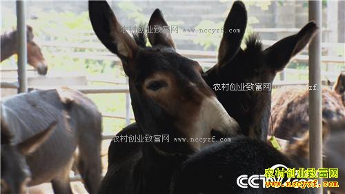 ��С������¿ �������ǧ��(20170310)