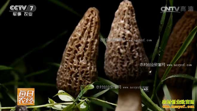 [ÿ��ũ��]��Ǿ�ԭ���������� 20170310