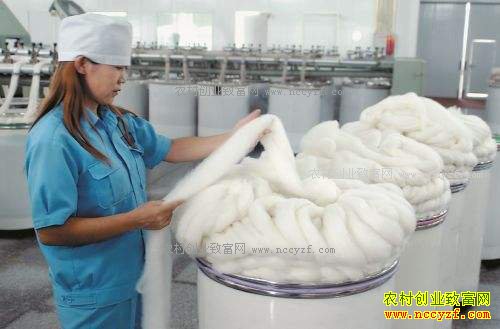 �����г�ǰ����ô���������飺���޲�ҵ��չǰ���ܺ�