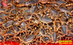 ȫЫ�۸�����߸� δ��Ы�Ӽ۸�����������Σ�