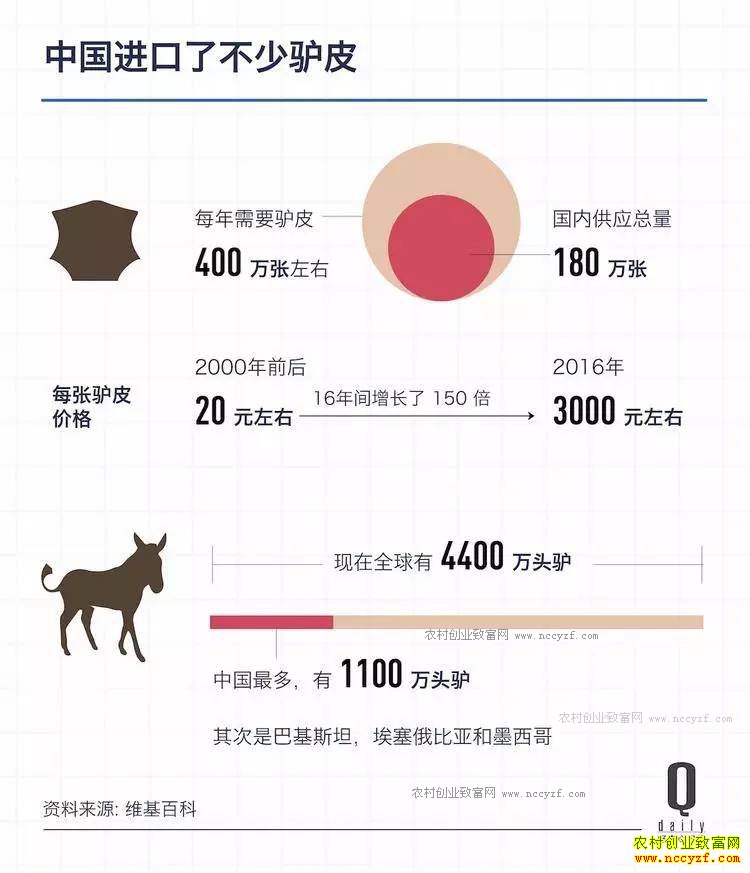 ¿Ƥ�۸�����100�� δ����¿�г�ǰ����