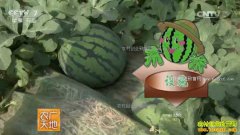 [ũ�����]����һ������Ч���