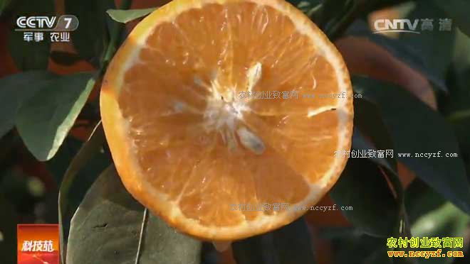 [�Ƽ�Է]����̷ָ賤�Ĵ� 20170307