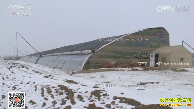 [�Ƽ�Է]ѩ��������������