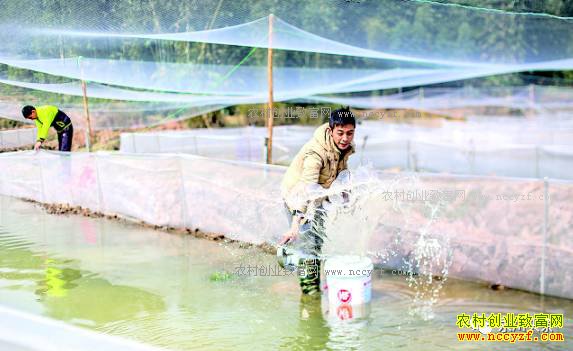 ����������ΰ���Ƶ��������ܴ�ҵ�¸�