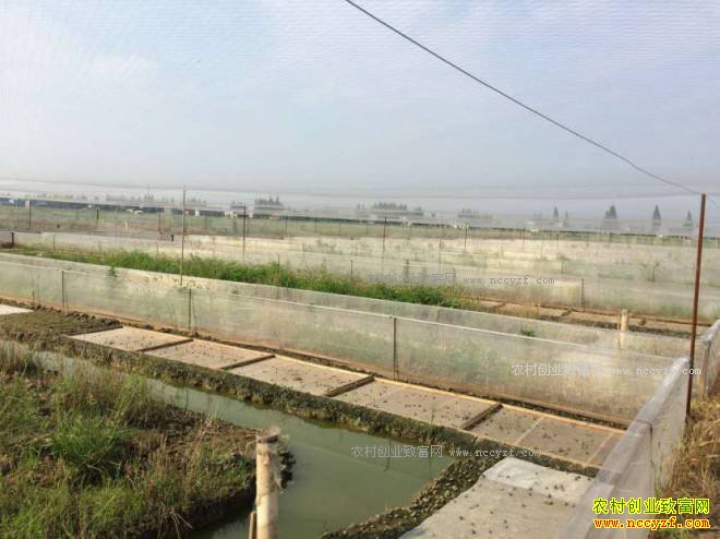 ������׬Ǯ��2017��������ֳǰ�������ܼ۸�����