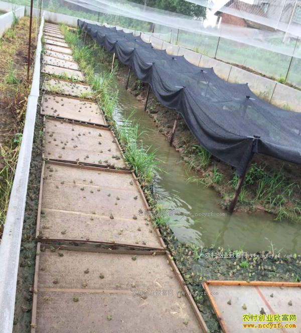 ������׬Ǯ��2017��������ֳǰ�������ܼ۸�����