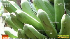 [�Ƽ�Է]�㶫��ݸ����ʮ��̽�������㽶��ή����֢