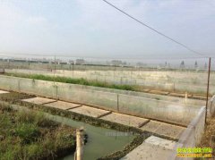 ������׬Ǯ��2017��������ֳǰ�������ܼ۸�����