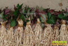 �����ɿ��۶����۸����½� ��2�µ�һ��