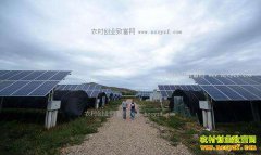 ���ո��������ǹ���������㹽ÿĶ����2-3��