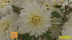 [ũ�����]��յļӹ�������Ƶ