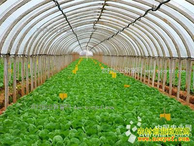 ��������κ���ԡ���СӢ���޷��紴ҵ�ֻ�ƽ̨�ֲ���������50��