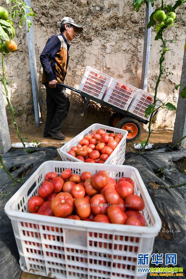 ���������������ַ��ѳ�ũ����ƶ�¸�����Ŀ