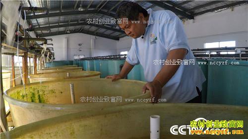 ���㲻����׬Ǯ��ǧ��Ƹ�����(20170314)