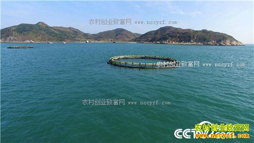 ���㲻����׬Ǯ��ǧ��Ƹ�����(20170314)