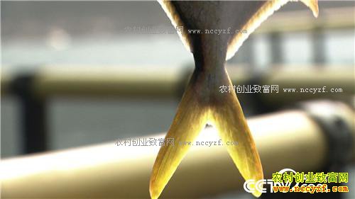 ���㲻����׬Ǯ��ǧ��Ƹ�����(20170314)