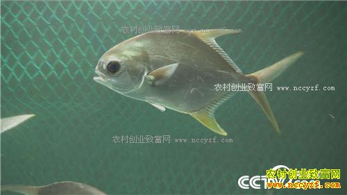 �¸��������㲻����׬Ǯ��ǧ��Ƹ����� 3��14��