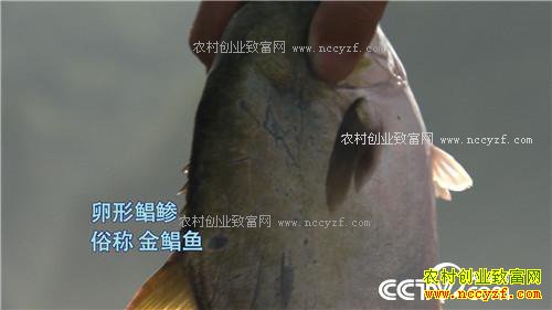 ���㲻����׬Ǯ��ǧ��Ƹ�����(20170314)