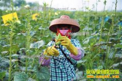 �����������������������ֲ��ũ���¸�����Ŀ