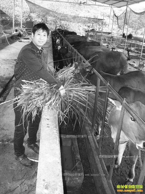 �Ĵ��������������ţ�������¸�����