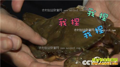 �¸�����ץס��Сʱ ��������з��Ӳ�� 3��15��