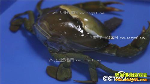 ץס��Сʱ ��������з��Ӳ��(20170315)