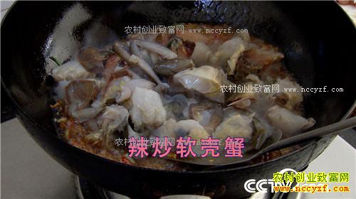 ץס��Сʱ ��������з��Ӳ��(20170315)