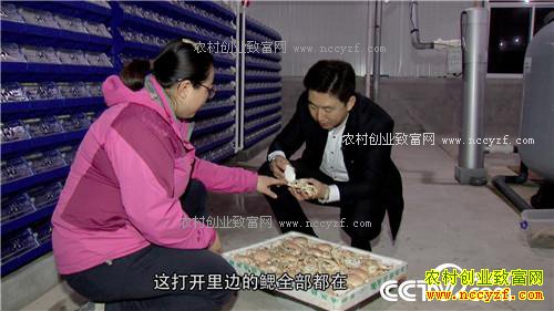 ץס��Сʱ ��������з��Ӳ��(20170315)