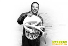 ������ƽ��С����ֳ��������300����