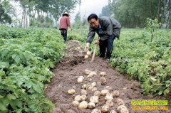 ���໷�ذ׽����ֲ������ũ��ҵ�¸�