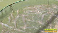 �㽭��Ҧ��������ֳ�����׶�Ϻ�����¸�·