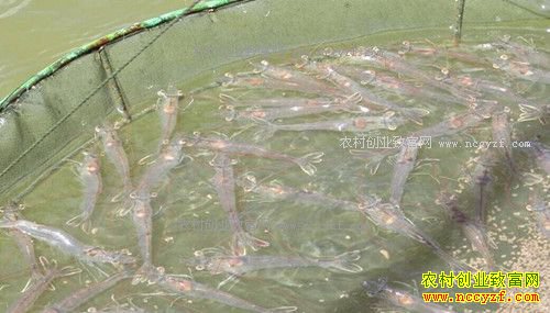 �㽭��Ҧ��������ֳ�����׶�Ϻ�����¸�·