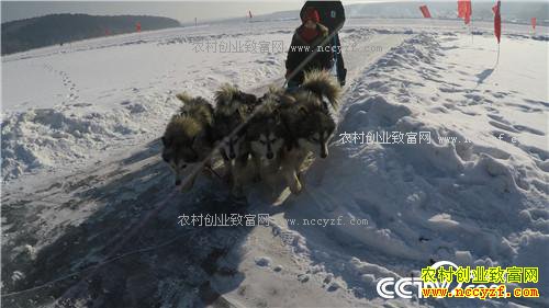 ����С��ץס���ܵĲƸ�(20170316)