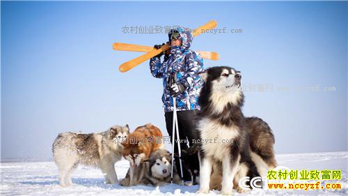 ����С��ץס���ܵĲƸ�(20170316)