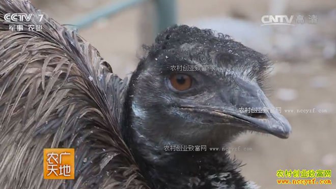 [ũ�����]����ڶ��� 20170316