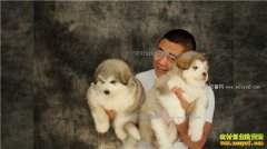 [�¸���]���ֳ�����������ֳѩ��Ȯ��ҵ���¸�