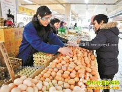 �㽭�����۸����飺����ǰ���۽�С������ ����������µ�