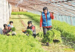 �ӱ������أ������������ũ���¸�����Ŀ