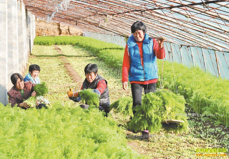 �ӱ������أ������������ũ���¸�����Ŀ