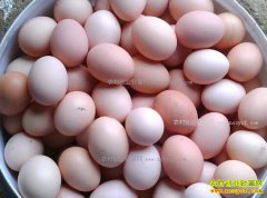 ���ϼ����۸��ŵ� ���۽��롰2Ԫʱ����