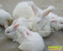 ����ƽ��ɽ˾С����ֳ��ë����ũ����·