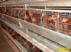 ���ණ���������������������ҵ�¸���