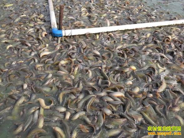 ��������������������300Ķ��׬����ʮ��Ԫ