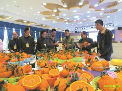 �Ĵ�üɽ������ֲ����֪����Ⱥ�׬Ǯ