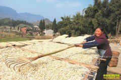 �Ĵ���ˮ����ˮ��ֲ�ӹ���ͷ�ˣ���ˣ���׬ͷ