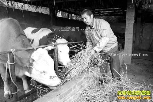 ����ᶼ����������ţ��ҵ�¸���