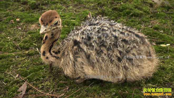 [�¸���]���콭��֣�ְ���ֳ��������׬��1000��