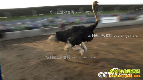 ����һ��СĿ�꣺����׬��1000��(20170320)