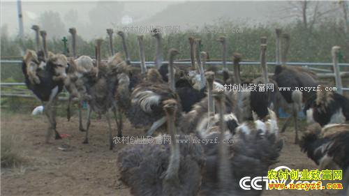 ����һ��СĿ�꣺����׬��1000��(20170320)